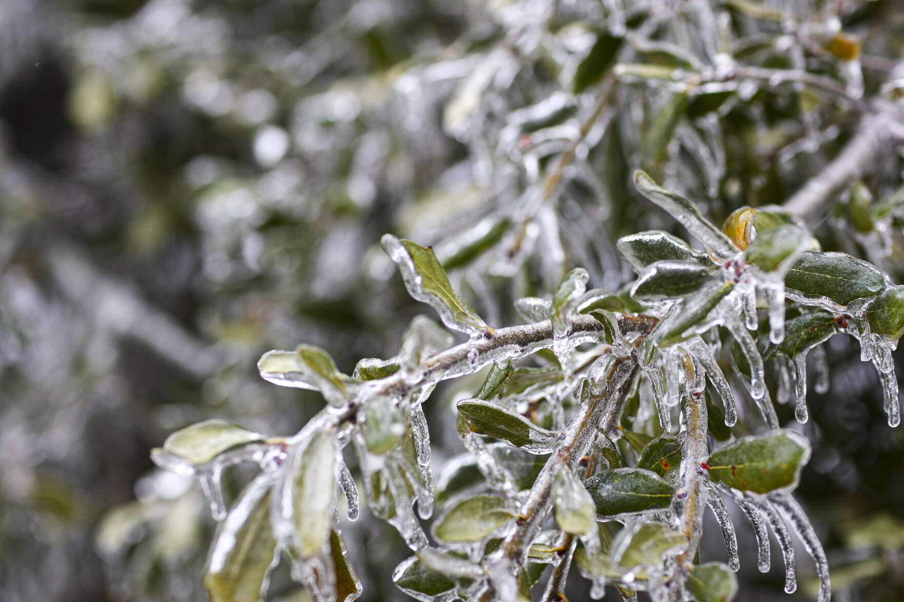 Winter Weather